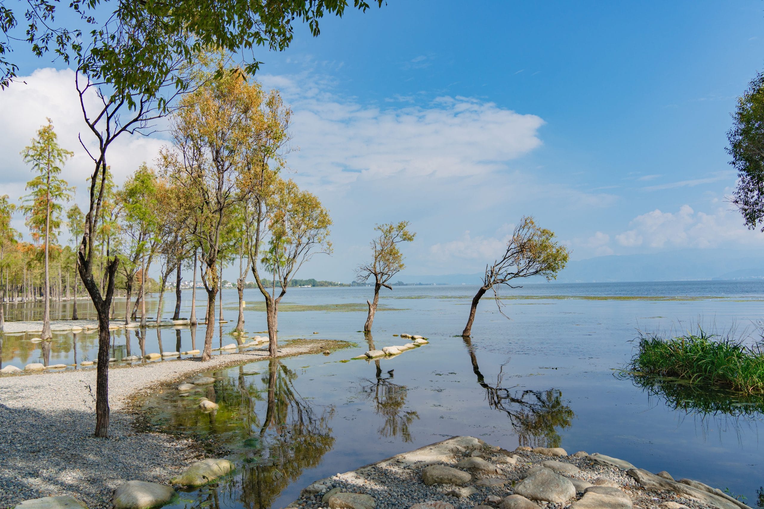 بحيرة بورغاس