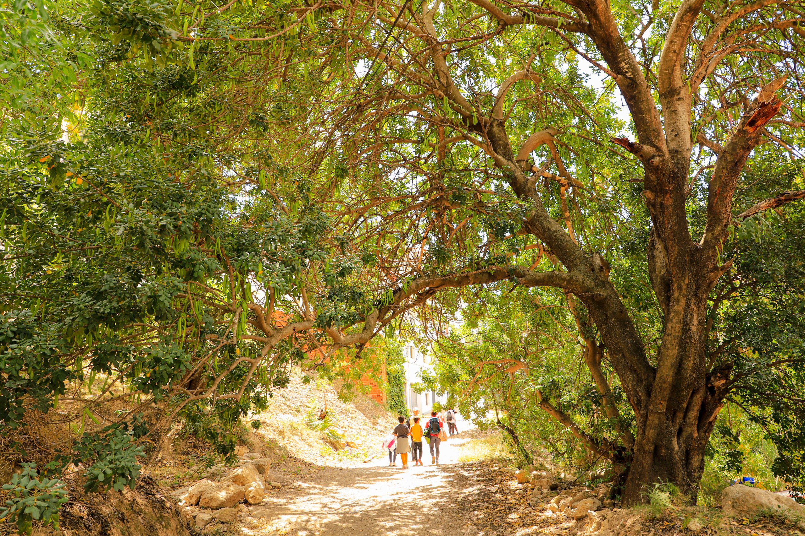 أبرز معالم السياحة في عجلون 2025 للمسافرون العرب