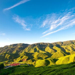 السياحة في كاميرون هايلاند