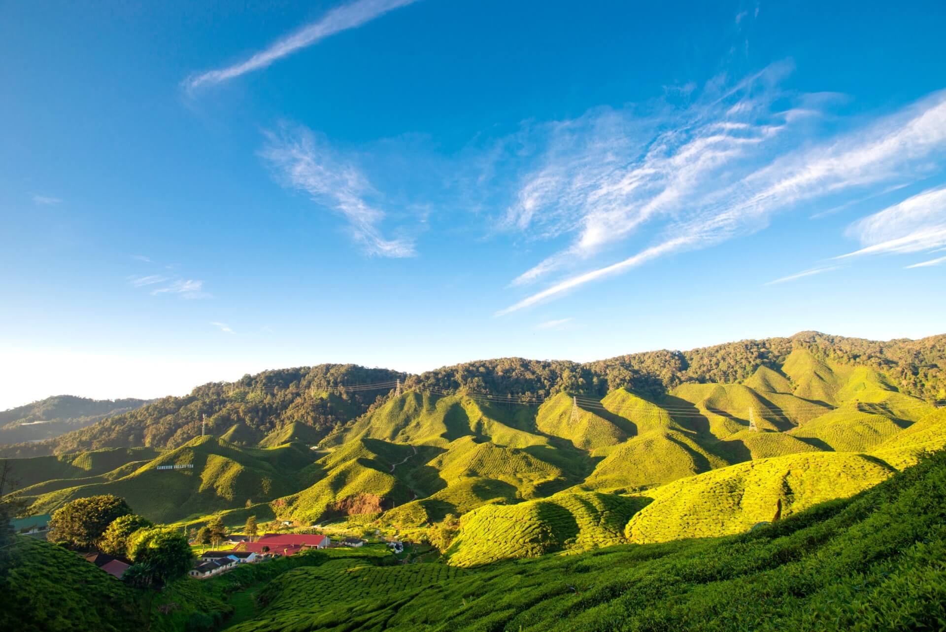 السياحة في كاميرون هايلاند