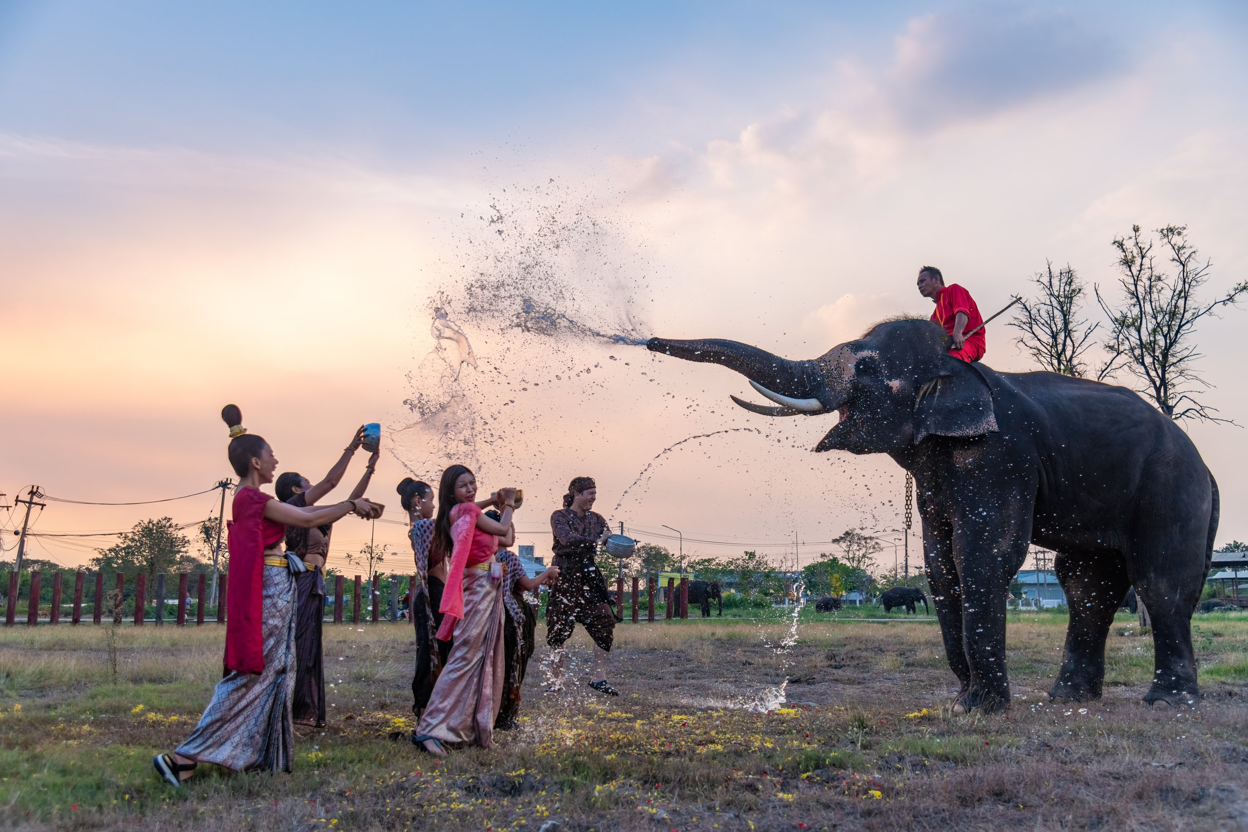 السياحة في كولومبو