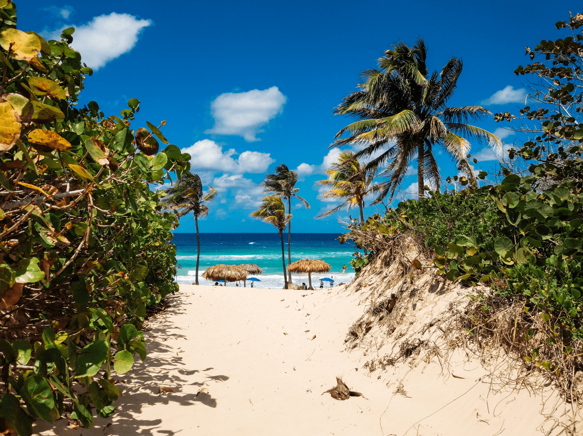 السياحة في باربادوس للمسافرين العرب 01