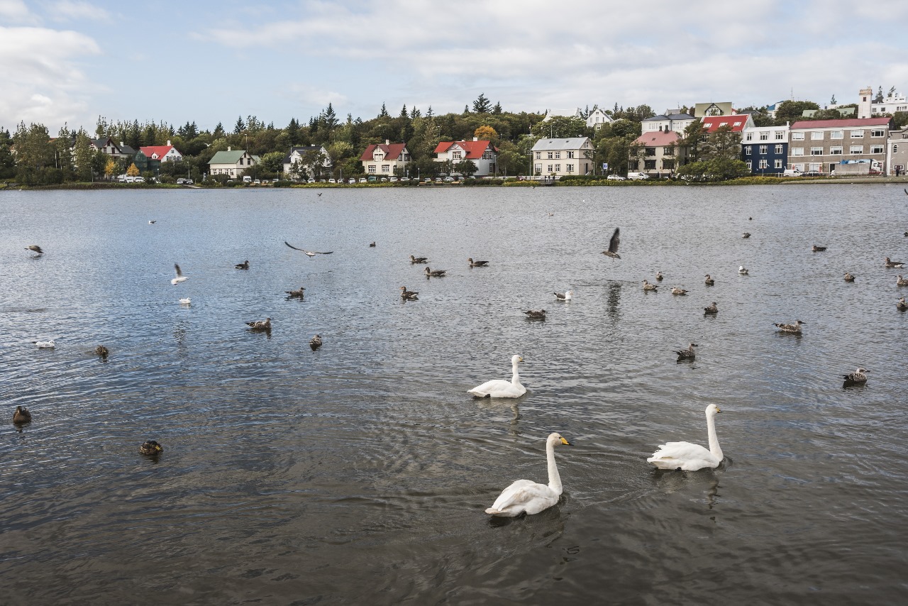 السياحة في ريكيافيك