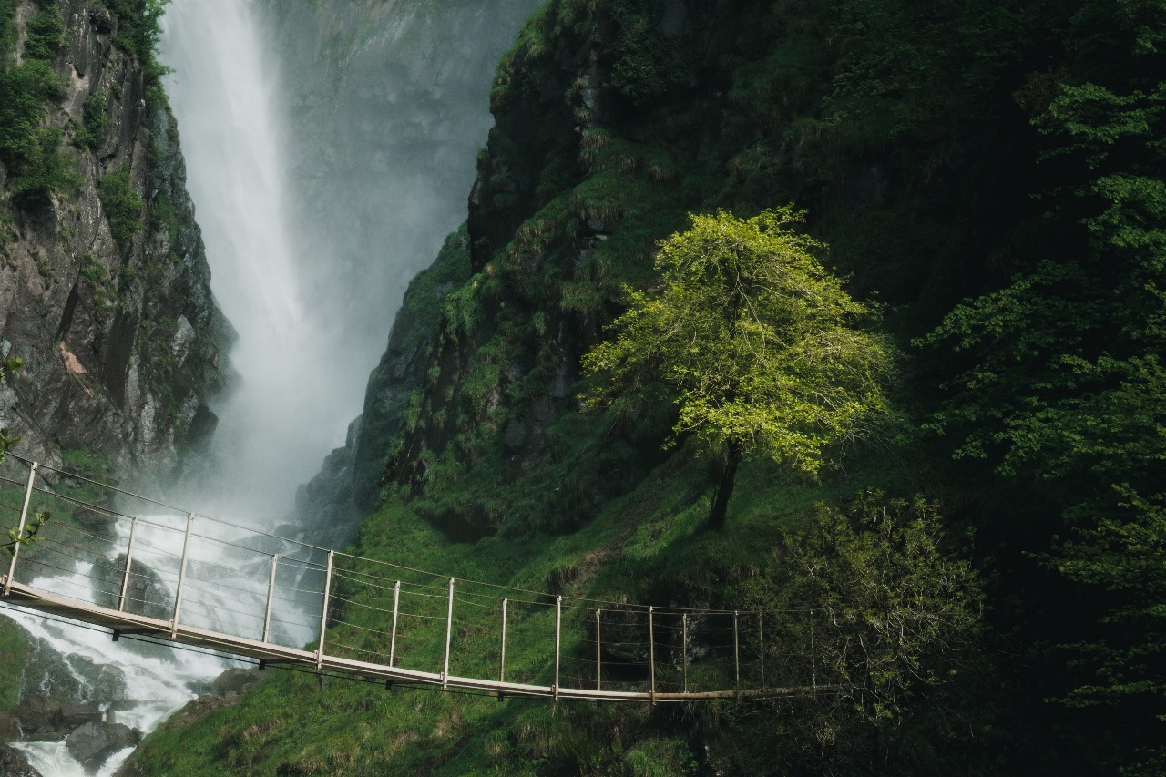 السياحة في طرابزون