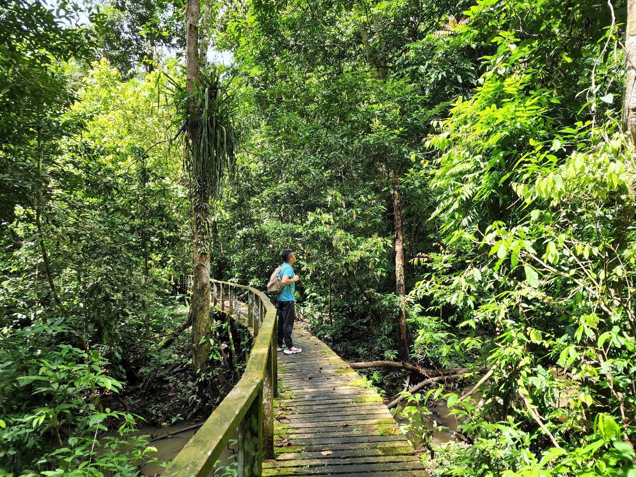 السياحة في سورينام