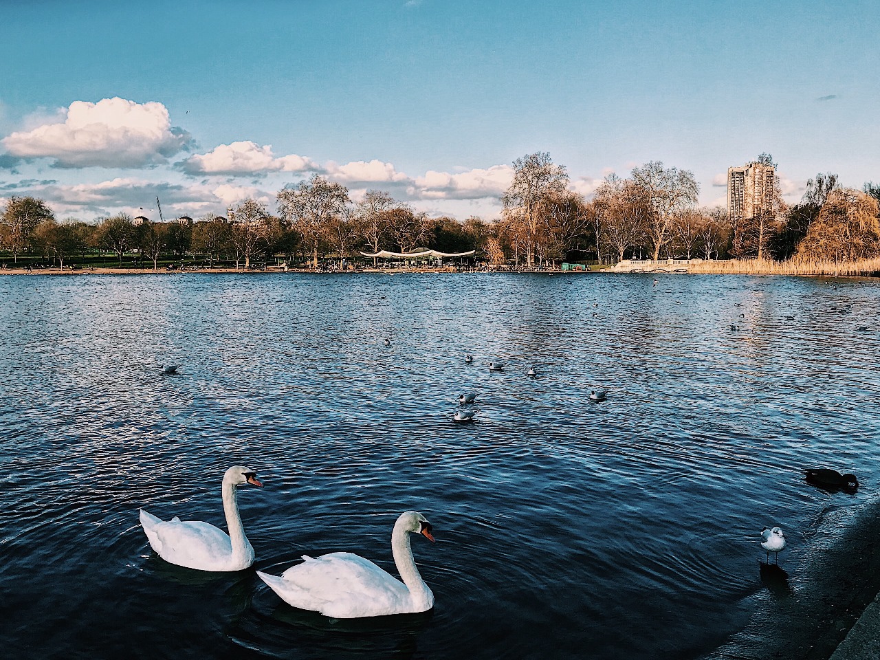 السياحة في كانبرا