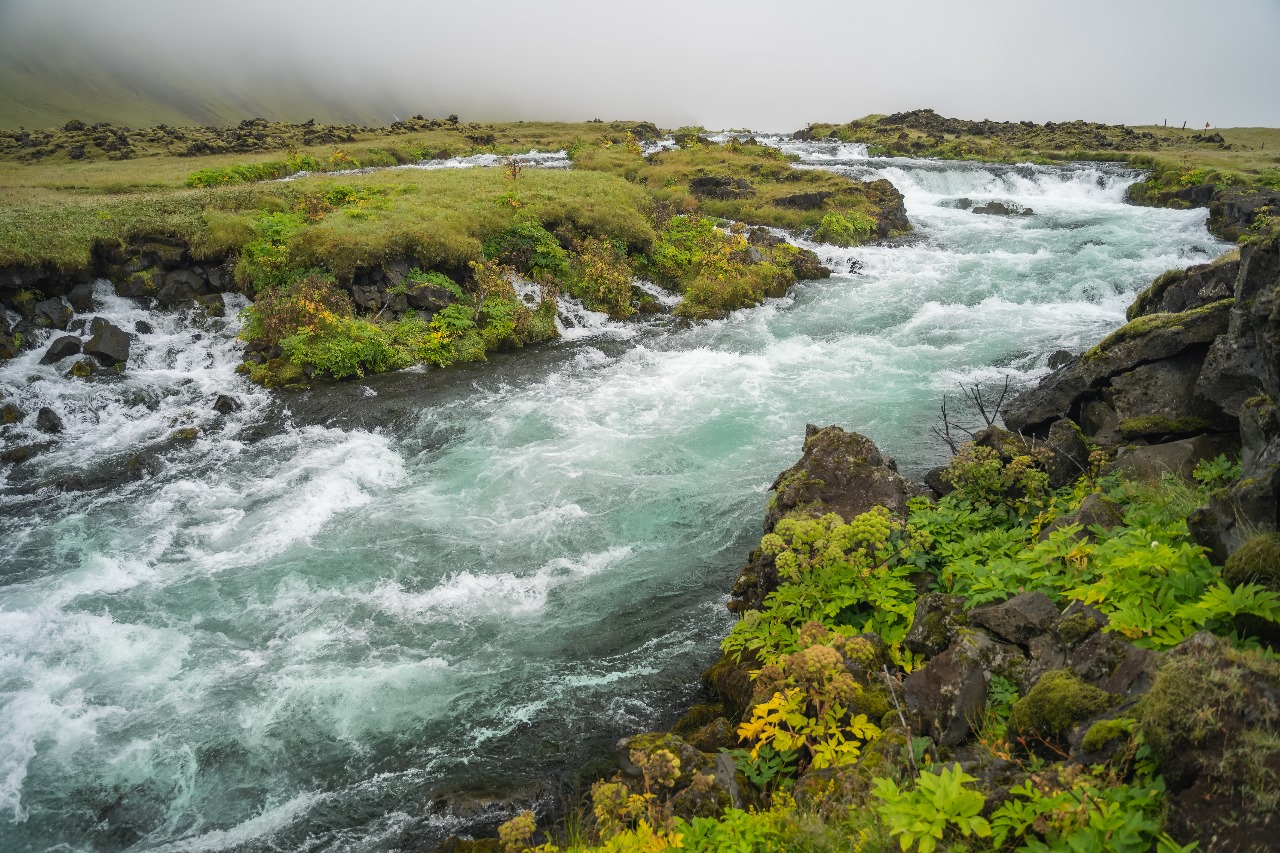 السياحة في ريكيافيك